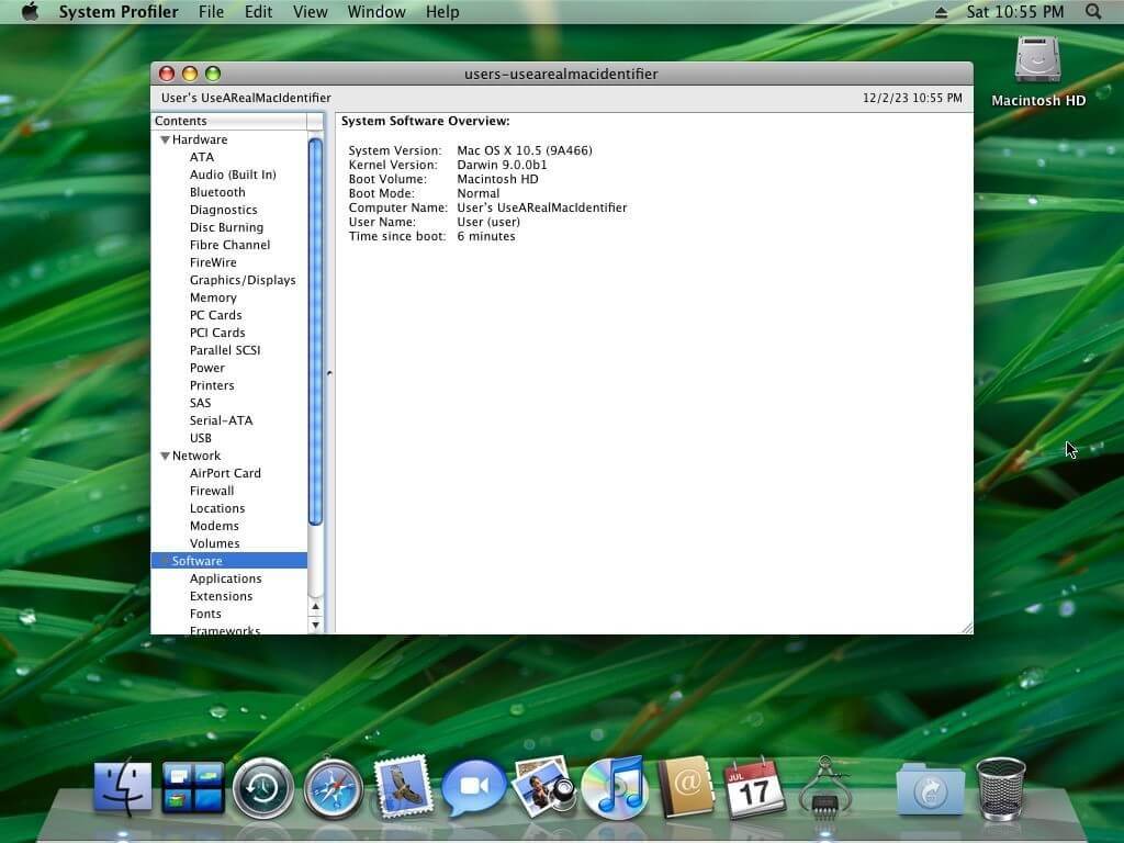 Mac OS X Leopard desktop featuring the sharp blades grass wallpaper
